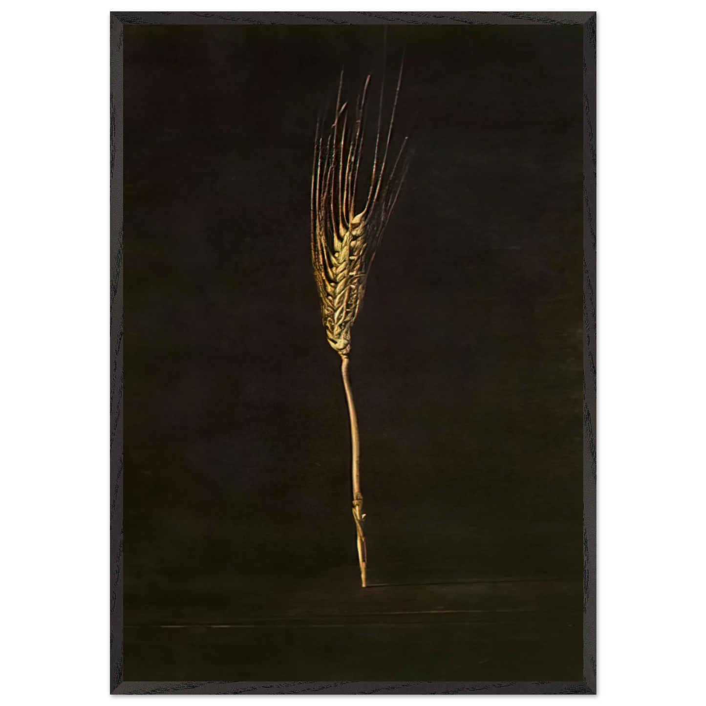 WHEAT EAR - Salvador Dali 70x100 cm / 28x40 inches Framed Art Print – Black Wooden Frame
