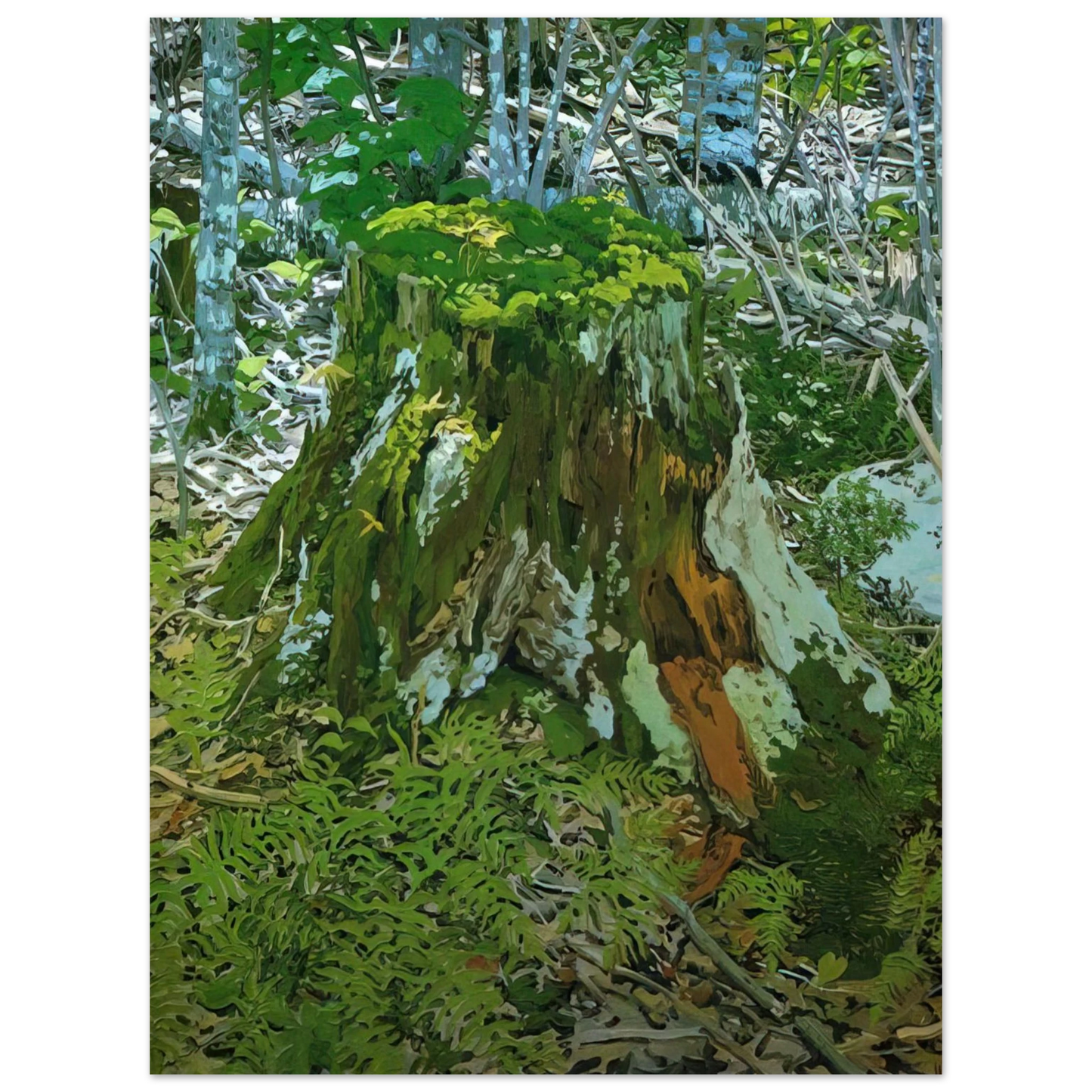 Neil Welliver - Stump - 2000 75x100 cm / 30x40inches Fine Art Poster