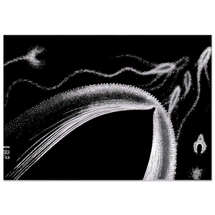 DOLPHINS - MC Escher Brushed Aluminum Print - 70x100 cm / 28x40 inches | MC Escher Aluminum Print | MC Escher Prints