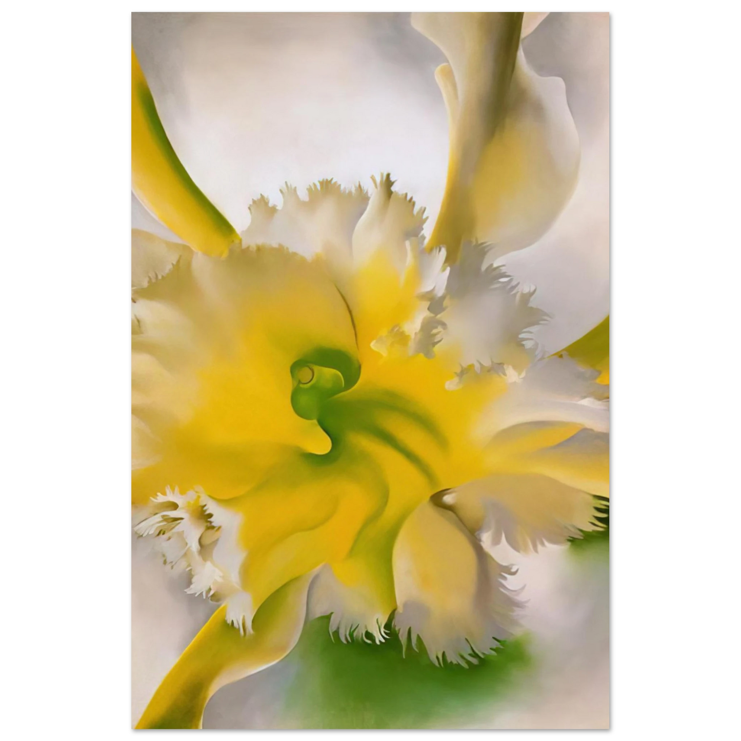 Georgia O'Keeffe - An Orchid Fine Art Poster