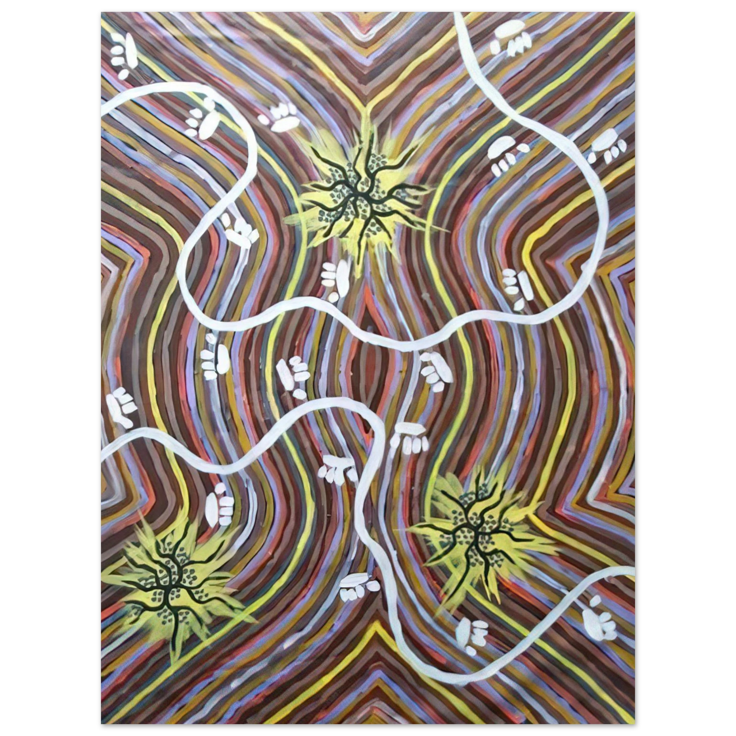 Clifford Possum Tjapaltjarri - Possum Country - 1995 75x100 cm / 30x40inches Fine Art Poster
