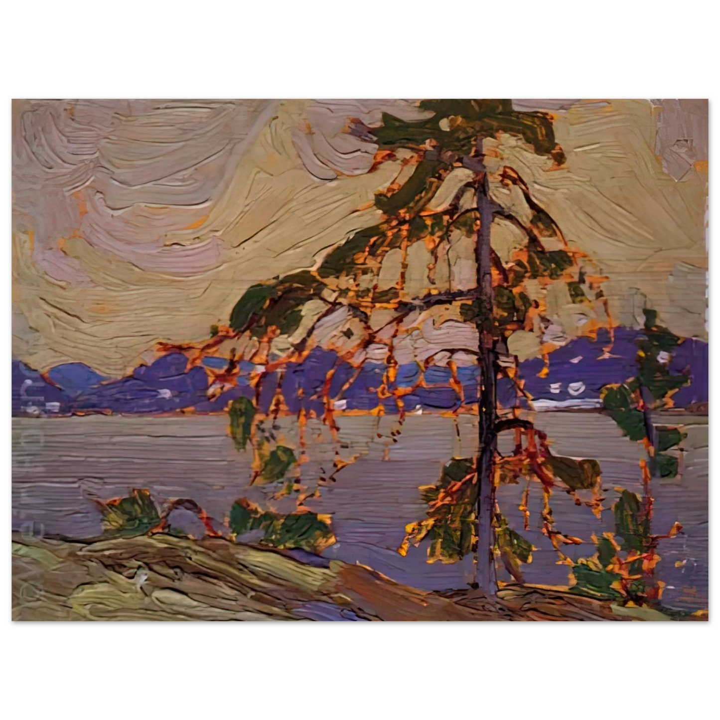 Tom Thomson - SKETCH FOR THE JACK PINE 1916 75x100 cm / 30x40inches Fine Art Poster