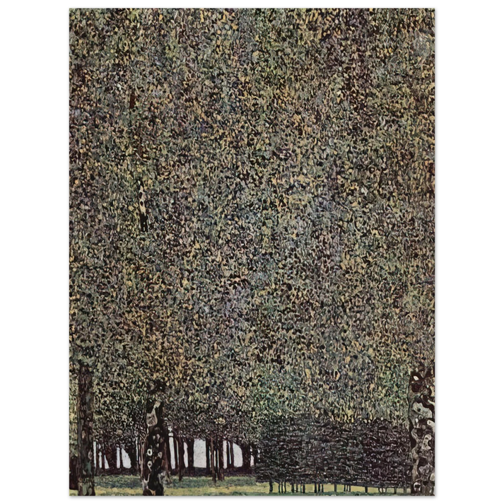 Gustav Klimt - PARK 1910 75x100 cm / 30x40inches Fine Art Poster