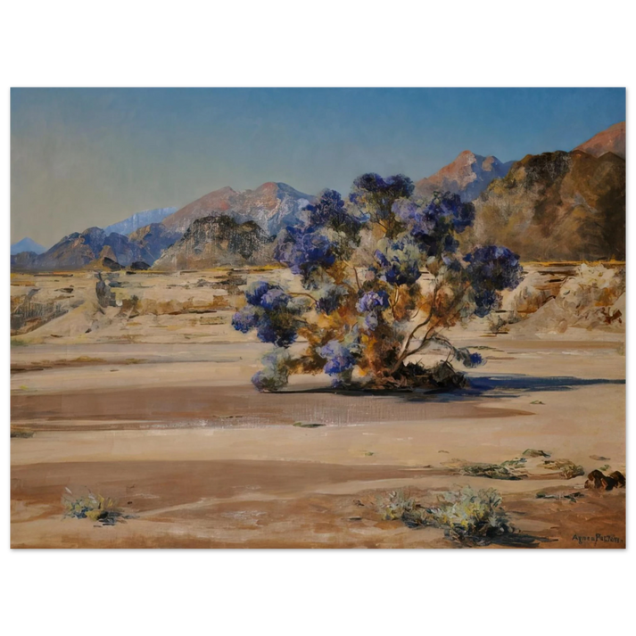 Agnes Lawrence Pelton - Smoketree - Post-Impressionism 75x100 cm / 30x40inches Fine Art Poster