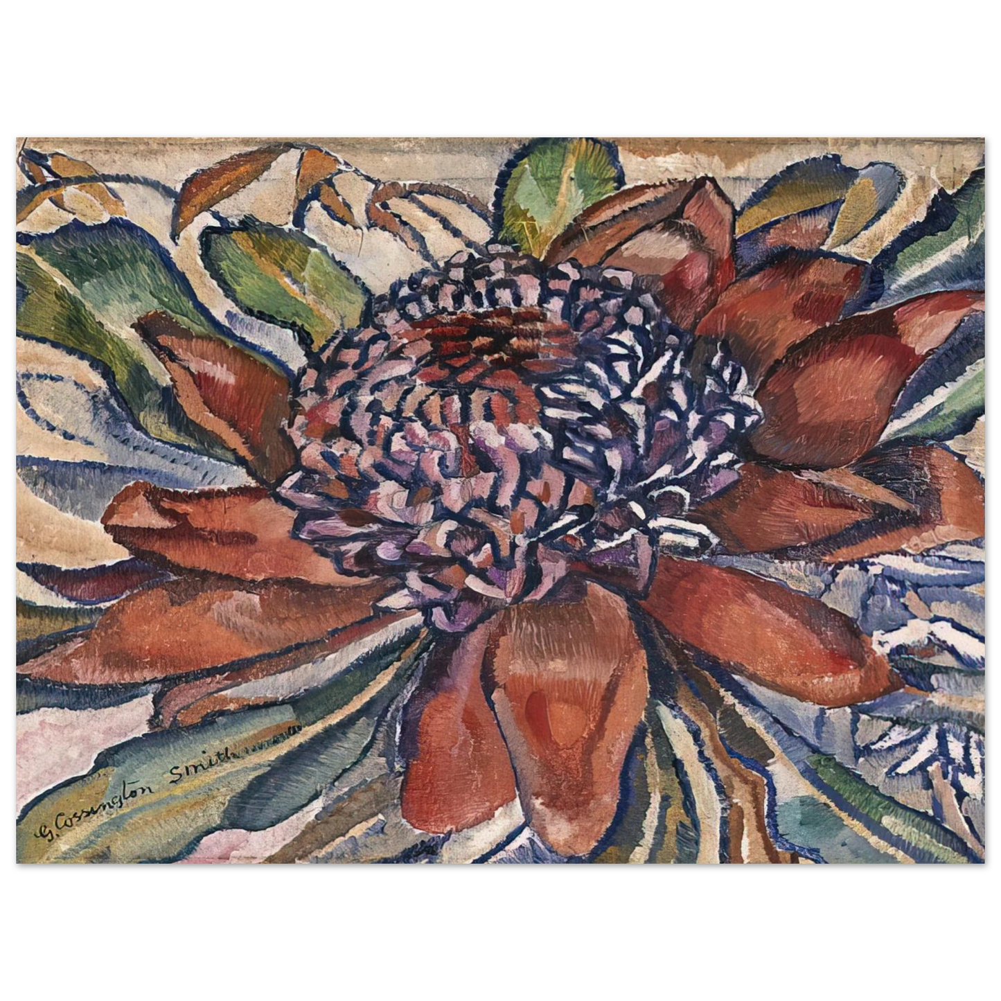 Grace Cossington Smith - Waratah - 1928 75x100 cm / 30x40inches Fine Art Poster