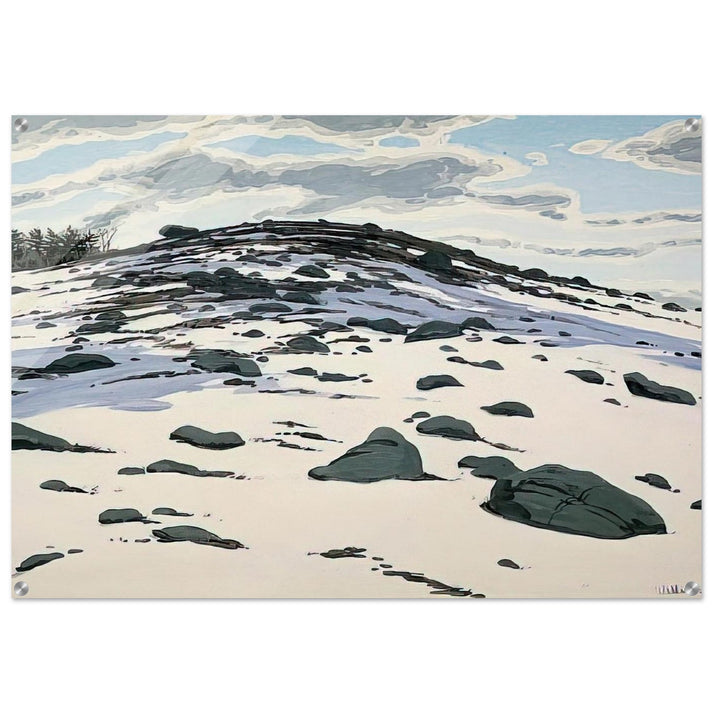 Shadow on Frankfort Barren - 1982 - Neil Welliver Acrylic Print - 70x100 cm / 28x40″ inches