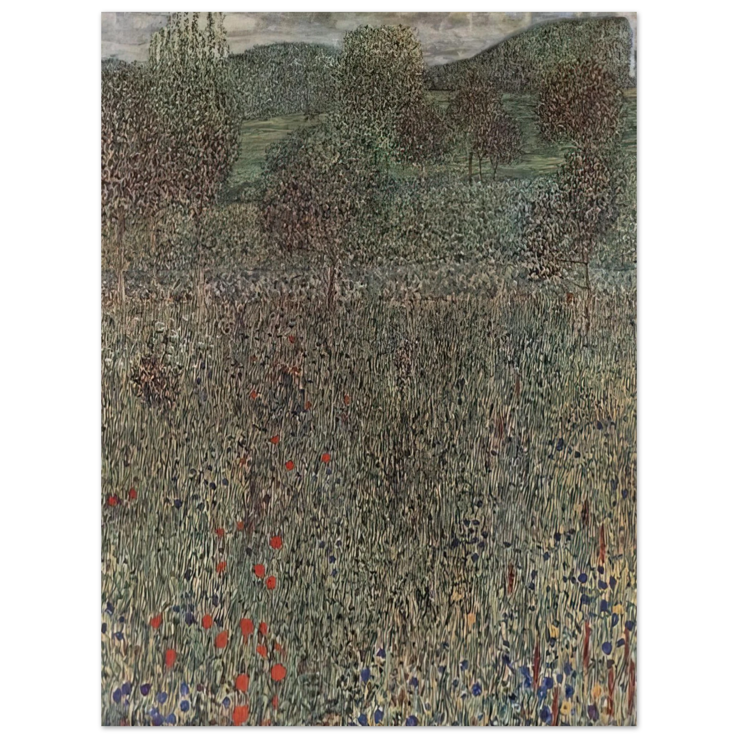 Gustav Klimt - BLOOMING FIELD 75x100 cm / 30x40inches Fine Art Poster
