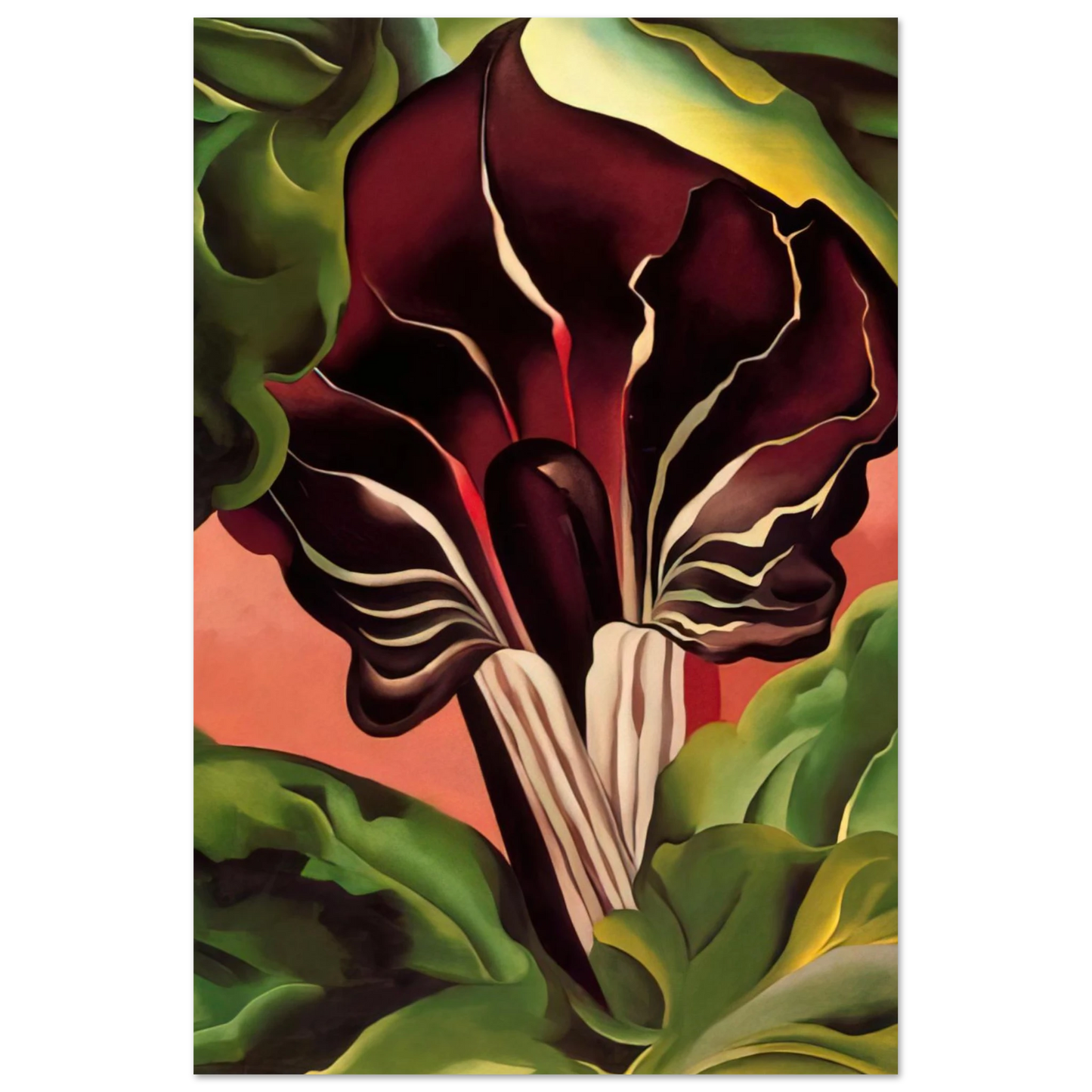 Georgia O'Keeffe - Jack-in-the-Pulpit II Fine Art Poster
