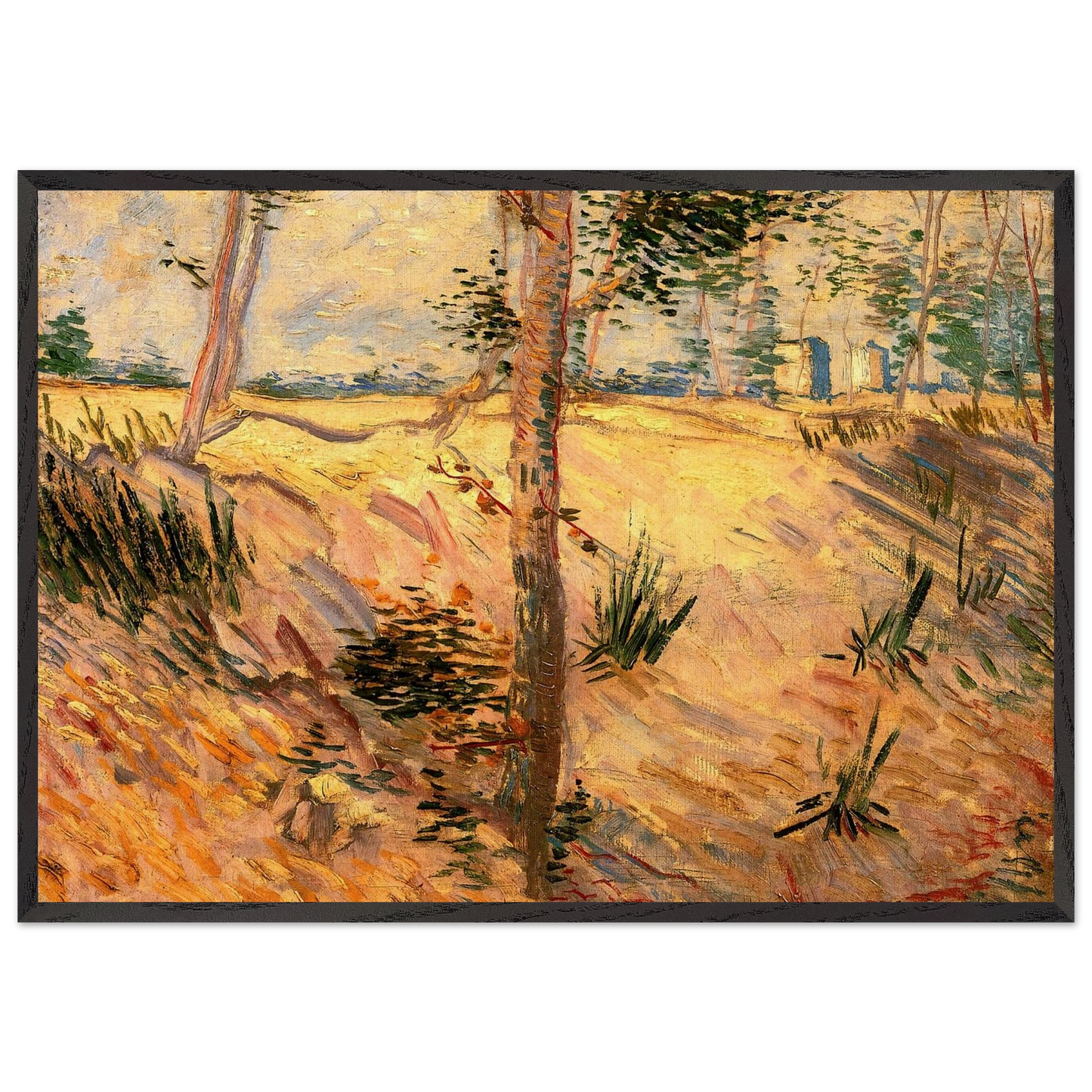 Trees in a Field on a Sunny Day - Vincent van Gogh 70x100 cm / 28x40 inches Framed Art Print – Black Wooden Frame