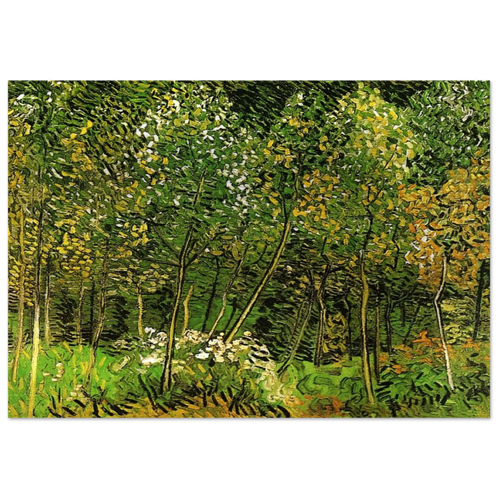 The Grove - Vincent van Gogh Brushed Aluminum Print - 70x100 cm / 28x40 inches | Vincent van Gogh Aluminum Print | Vincent van Gogh Prints
