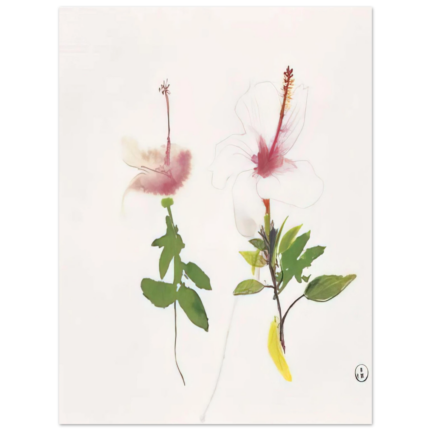 Brett Whiteley - Hibiscus - 1987 75x100 cm / 30x40inches Fine Art Poster