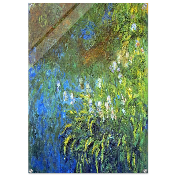 Iris at the Sea-Rose Pond - claude monet Acrylic Print - 70x100 cm / 28x40″ inches