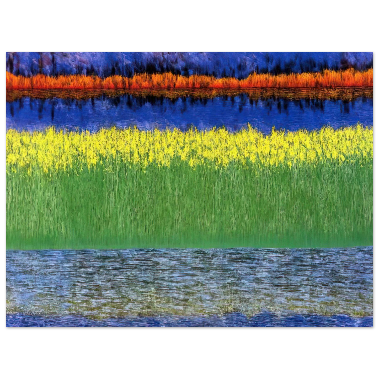 Jimmy Ernst - Sea of Grass - 1982 75x100 cm / 30x40inches Fine Art Poster