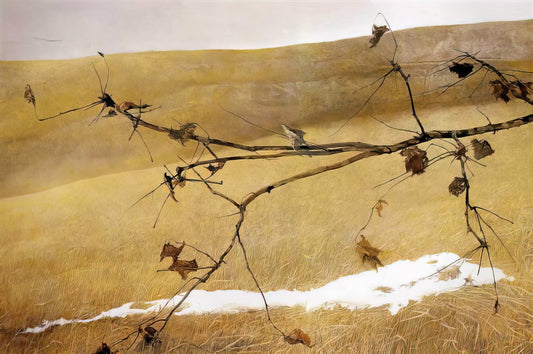 Andrew Wyeth Art Prints: A Collector's Guide to His Iconic American Realism - LONG LIMB by Andrew Wyeth