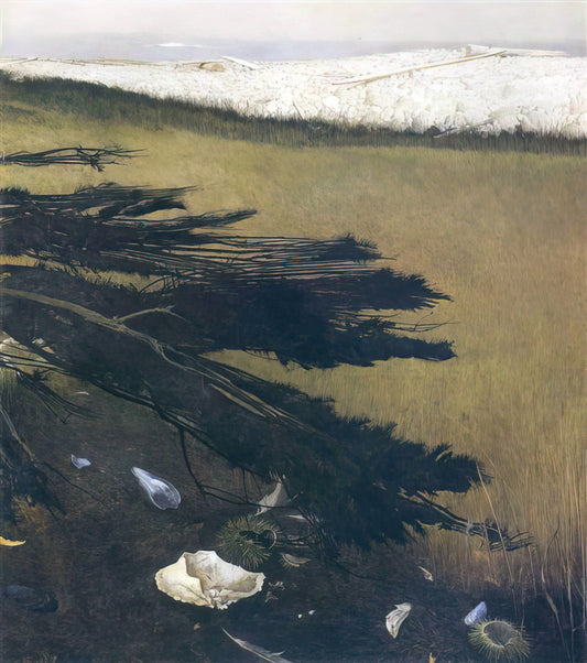 Andrew Wyeth Prints: A Collector's Guide to America's Most Revered Realist - NOT DETECTED 47 by Andrew Wyeth