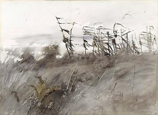 Andrew Wyeth Public Sale: A Collector's Guide to Acquiring Authentic Art - NOVEMBER FIRST 1950 by Andrew Wyeth