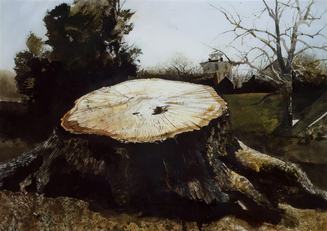 Andrew Wyeth's Famous Painting Christina's World: A Masterpiece of American Realism - THE BIG OAK by Andrew Wyeth