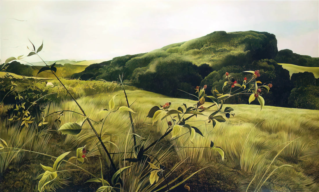 Andrew Wyeth's Snow Hill Print: A Masterpiece of American Realism and Emotional Depth - BLACKBERRY PICKER by Andrew Wyeth