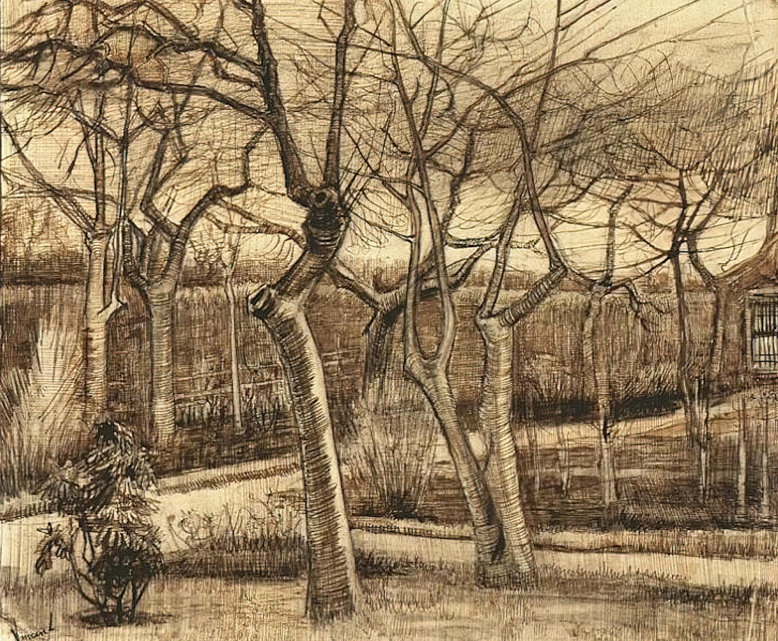 Beyond the Canvas: The Phenomenon of Van Gogh Immersive Experiences - The Vicarage Garden by Vincent van Gogh