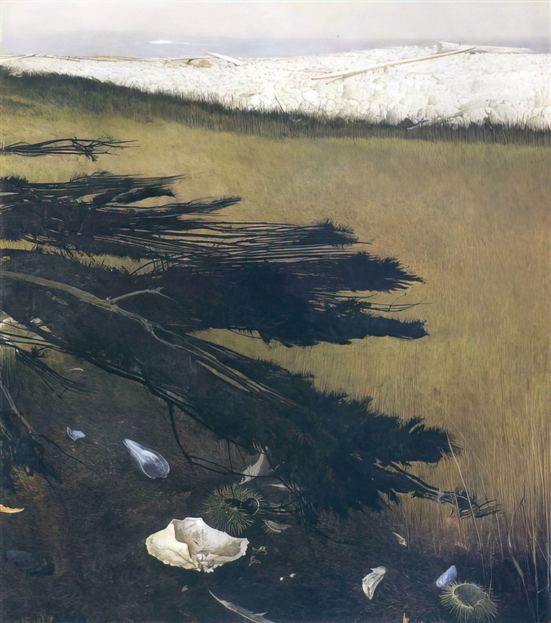 Christina Olsen Wyeth: The Enduring Muse of Andrew Wyeth's American Realism - NOT DETECTED 47 by Andrew Wyeth