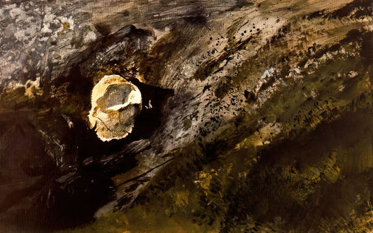 Christina's World at MoMA: Andrew Wyeth's Masterpiece of American Realism - INLAND SHELL by Andrew Wyeth