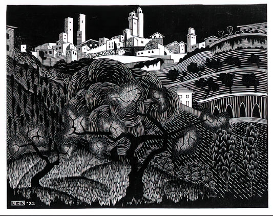 Escher MFA: The Master of Mathematical Art and Optical Illusions - ESCHER (10) by MC Escher