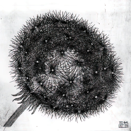 Escher on Escher: The Mind-Bending World of Maurits Cornelis Escher's Optical Illusions - BLOWBALL I by MC Escher
