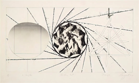 F 111: James Rosenquist's Monumental Pop Art Masterpiece and Its Enduring Legacy - Sunglasses - Landing Net - Triangle by James Rosenquist