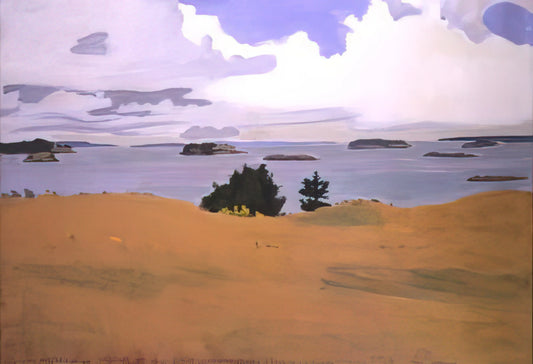 Fairfield Porter Paintings for Sale: A Collector's Guide to Acquiring American Realist Masterpieces - PENOBSCOT BAY WITH YELLOW FIELD 1968 by Fairfield Porter