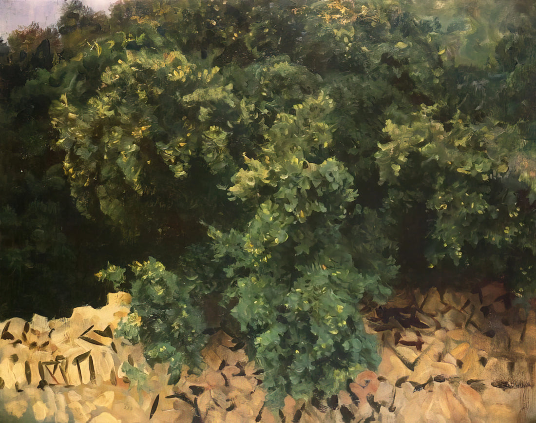 Famous Paintings by John Singer Sargent: A Curator's Guide to His Masterpieces - Ilex Wood, Majorca by John Singer Sargent