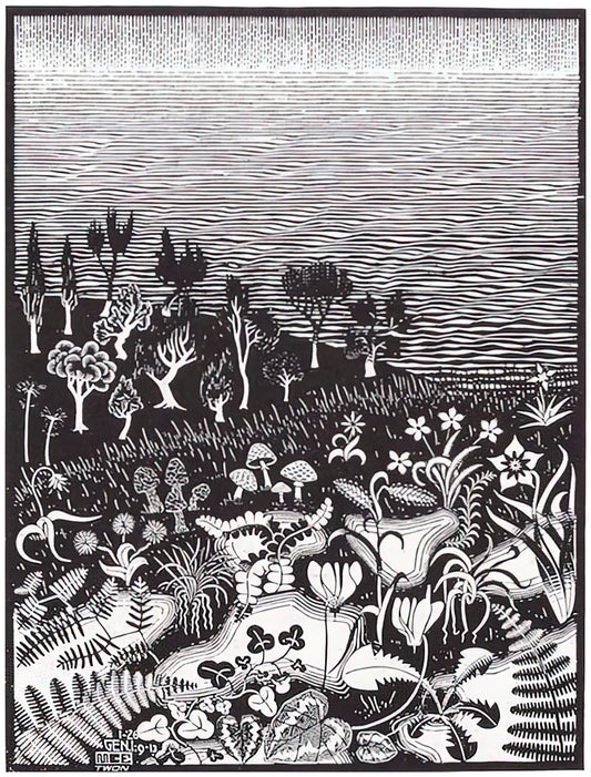 George Escher: The Mathematical Visionary Who Redefined Art and Perception - THE 3RD DAY OF THE CREATION by MC Escher