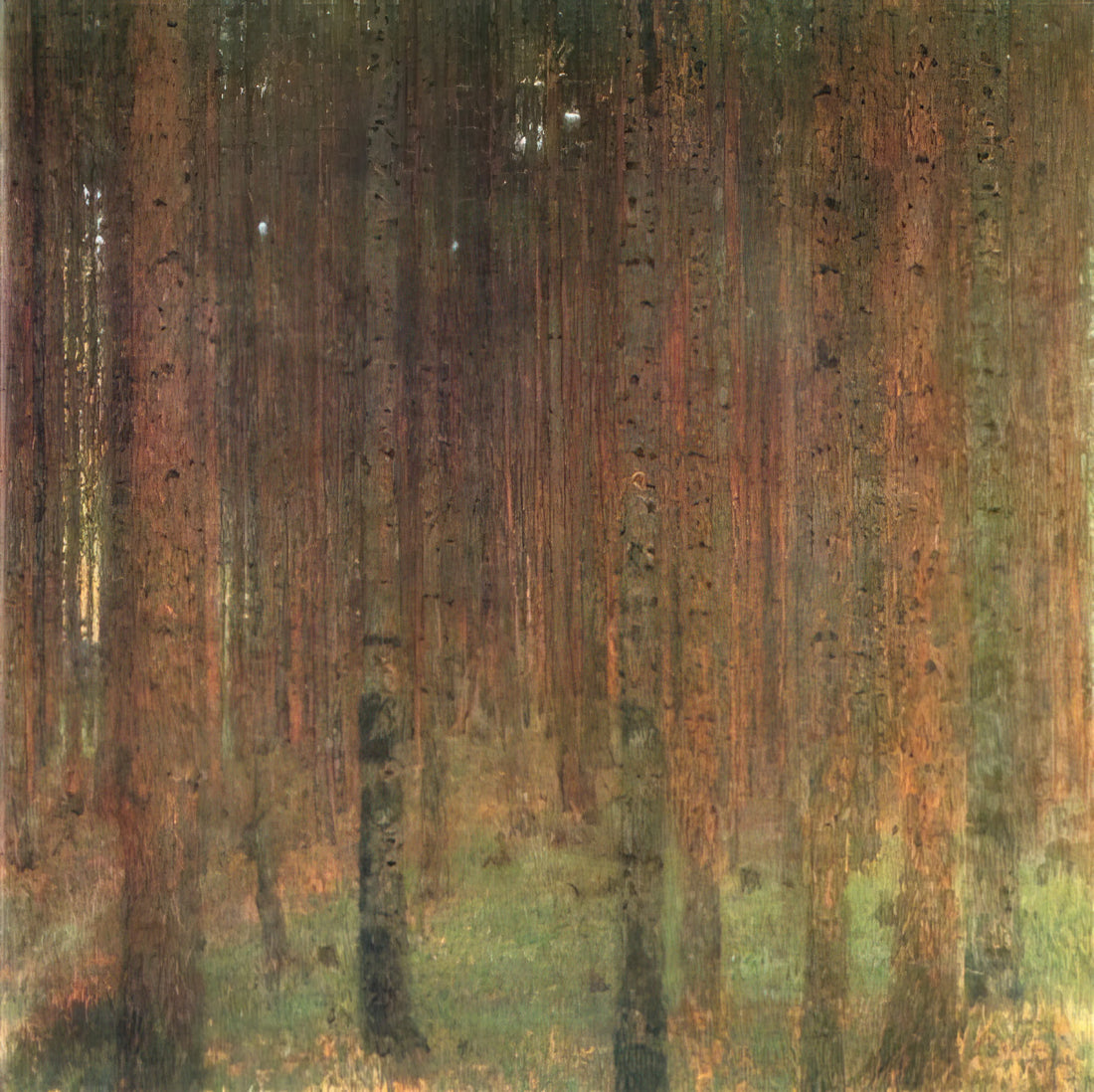 Gustav Klimt Giclée Prints: Expert Guide to Museum-Quality Reproductions - PINE FOREST II by Gustav Klimt