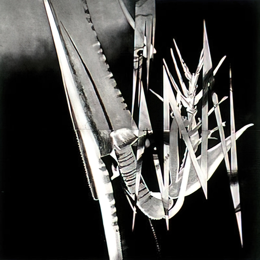 James Rosenquist Painting: A Guide to the Pop Art Pioneer's Monumental Vision - The Prickly Dark by James Rosenquist