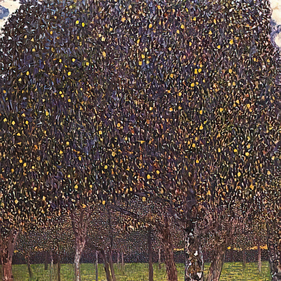 Klimt Apple Tree Print: A Masterpiece of Symbolism and Ornamentation - PEAR TREE 1903 by Gustav Klimt