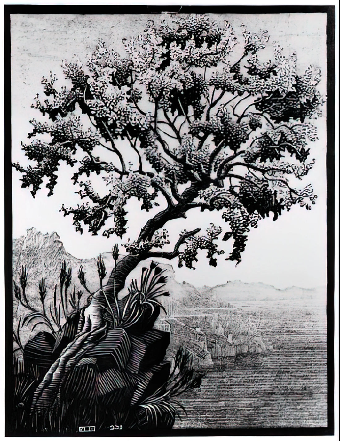 M.C. Escher Canvas Prints: The Ultimate Guide to Owning His Impossible Worlds - ESCHER (14) by MC Escher