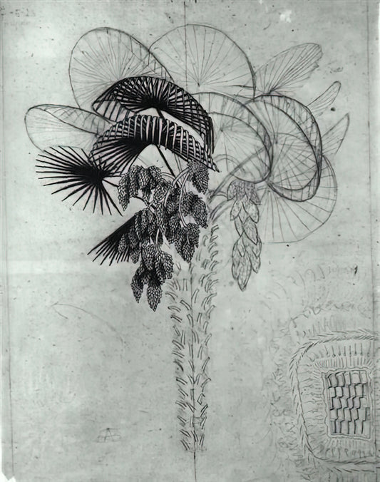 M.C. Escher Famous Paintings: A Journey Through Impossible Worlds and Mathematical Art - PALM TREE SKETCH by MC Escher