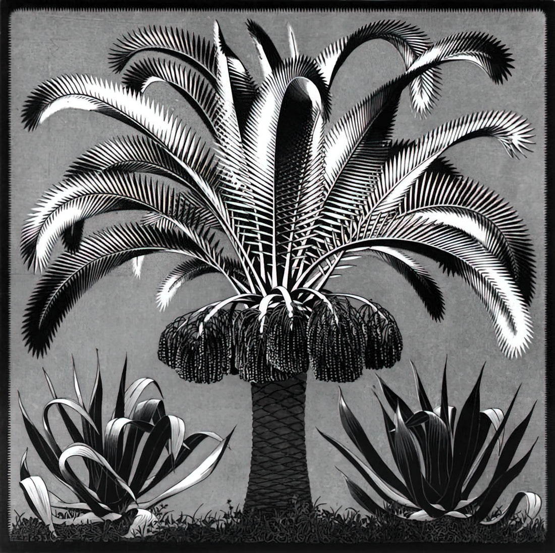 M.C. Escher Original Prints: A Collector's Guide to Authenticity, Value, and Legacy - PALM by MC Escher