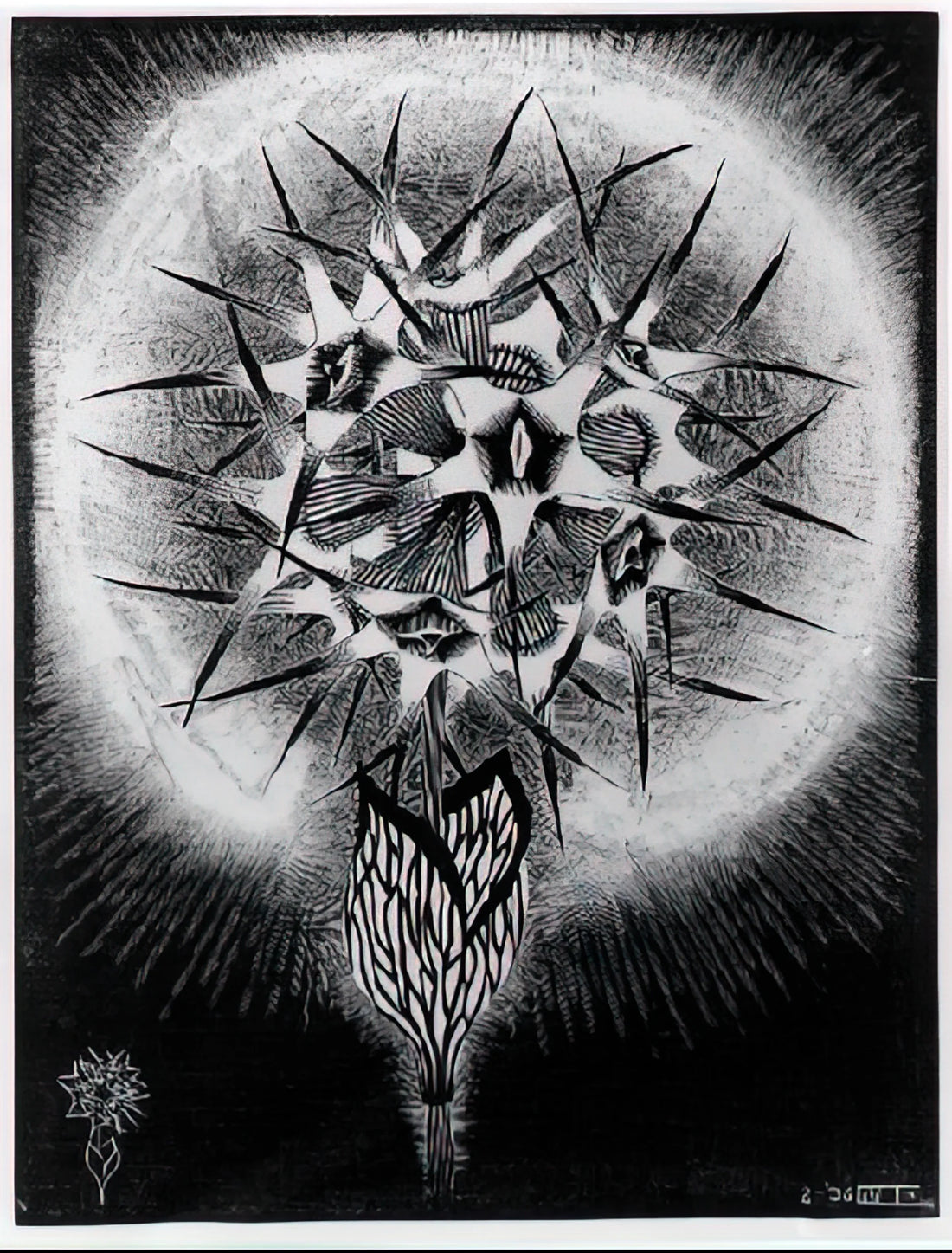 M.C. Escher Stairs Print: A Guide to the Artist's Impossible Architecture - PRICKLY FLOWER by MC Escher
