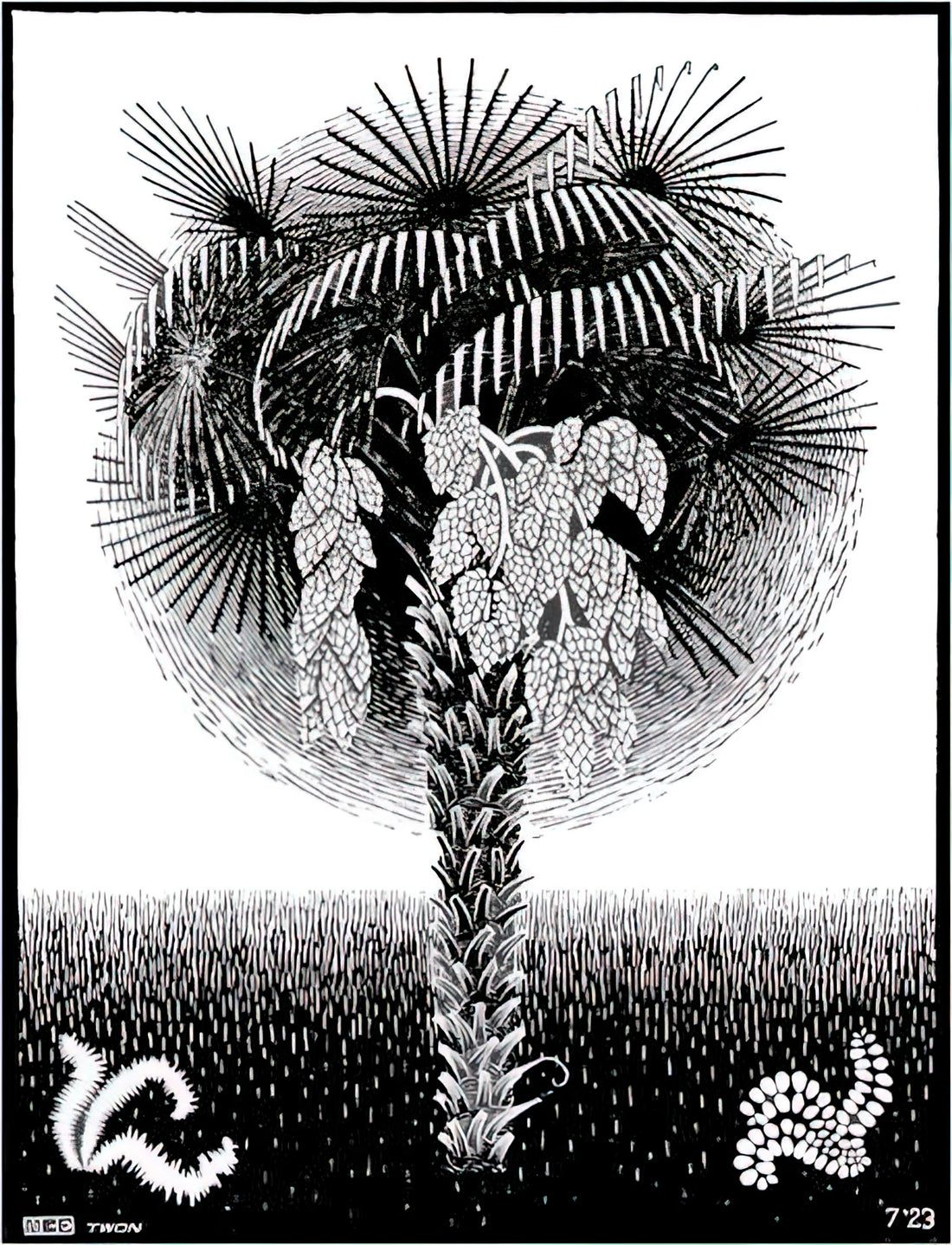 M.C. Escher Wood: The Master of Impossible Worlds in Woodcut Prints - PALM TREE by MC Escher