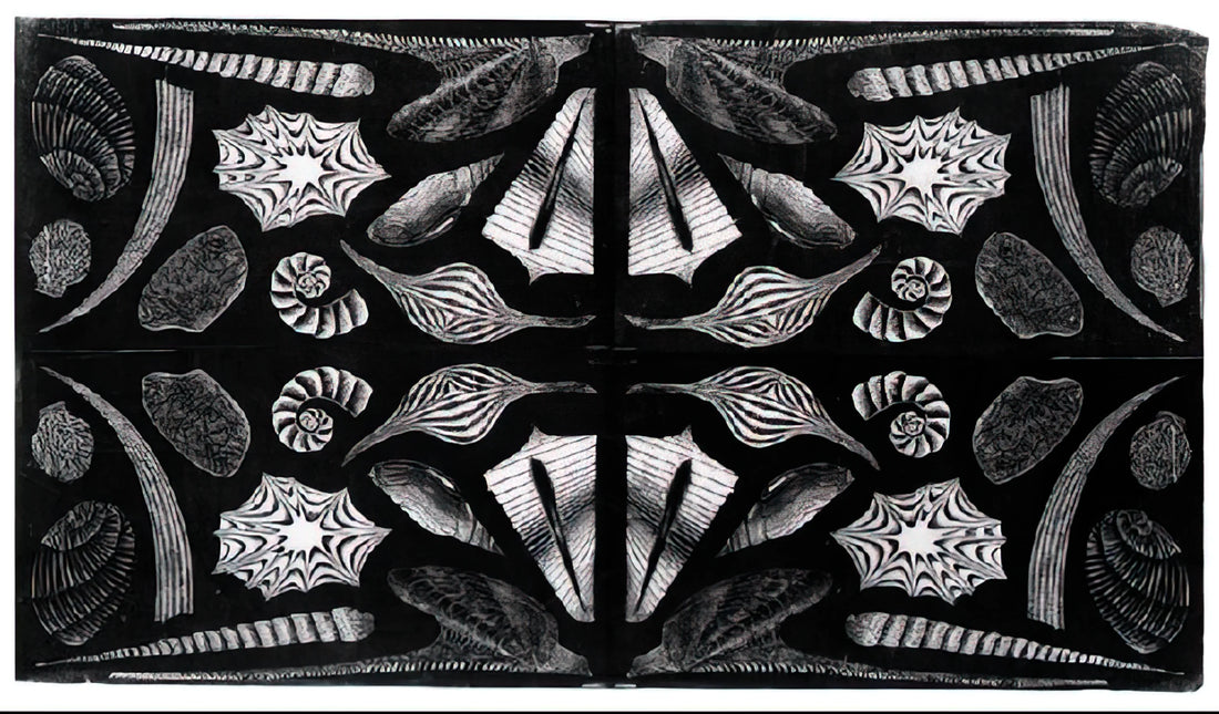 MC Escher and Op Art: The Master of Mathematical Illusion and Visual Perception - ESCHER (5) by MC Escher