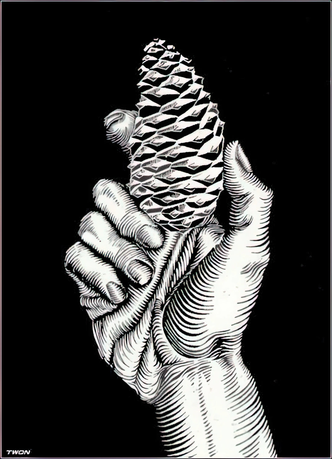 MC Escher at NGV: Exploring the Mind-Bending World of Mathematical Art - HAND WITH FIR CONE by MC Escher