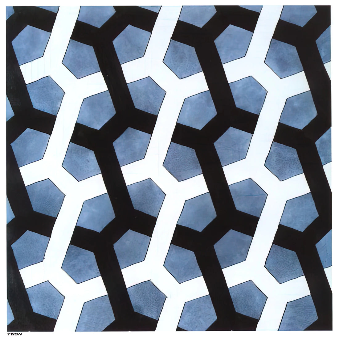 Maurits Cornelis Escher Paintings: The Mathematical Artistry of Impossible Worlds - INTERLACED HEXAGON by MC Escher
