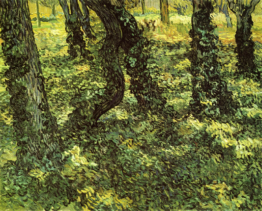 Repro Van Gogh: Understanding Museum-Quality Art Prints of Vincent van Gogh's Masterpieces - Trunks of Trees with Ivy by Vincent van Gogh
