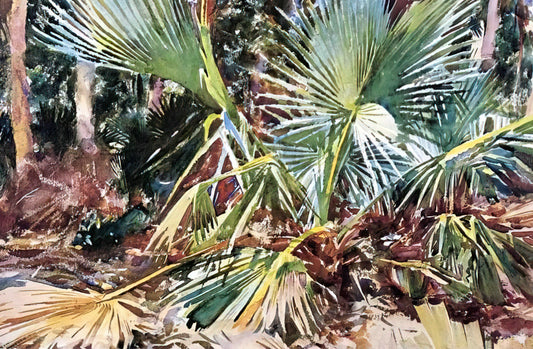 Richard Ormond: The Definitive Authority on John Singer Sargent's Legacy - Palmettos, Florida by John Singer Sargent