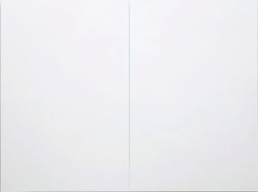 Robert Rauschenberg Sculpture: The Combines That Redefined American Art - WHITE PAINTING TWO PANEL 1951 by Robert Rauschenberg