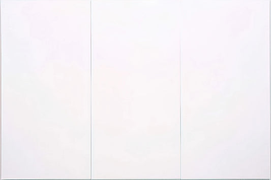Robert Rauschenberg Works: A Journey Through the Combines, Prints, and Legacy of an American Visionary - WHITE PAINTING THREE PANEL 1951 by Robert Rauschenberg