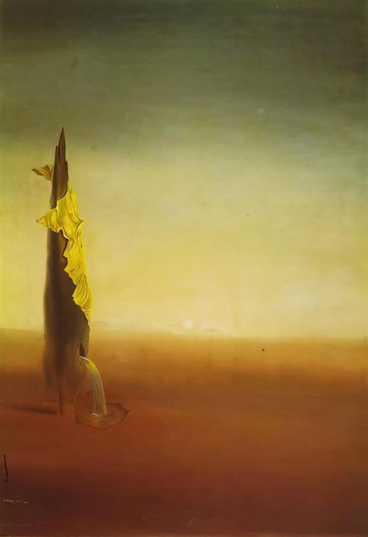 Salvador Dalí Drawings: The Surrealist Master's Graphic Genius - THE BIRTH OF LIQUID FEARS by Salvador Dali