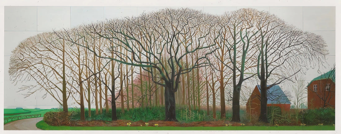 Signed Hockney Prints for Sale: A Collector's Guide to Authenticity and Value - David Hockney by David Hockney