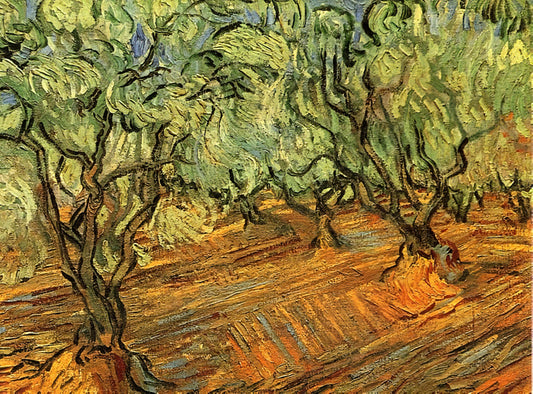 Starry Night at the Van Gogh Museum: A Curator's Guide to the Iconic Masterpiece - Olive Grove - Bright Blue Sky by Vincent van Gogh