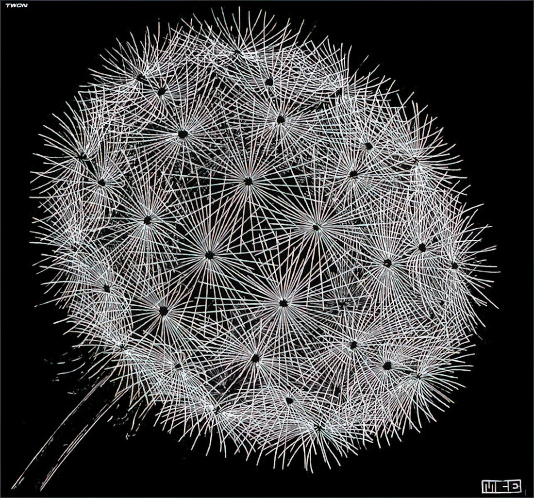 The Escher Museum: A Journey into the Mind of a Mathematical Visionary - BLOWBALL II by MC Escher